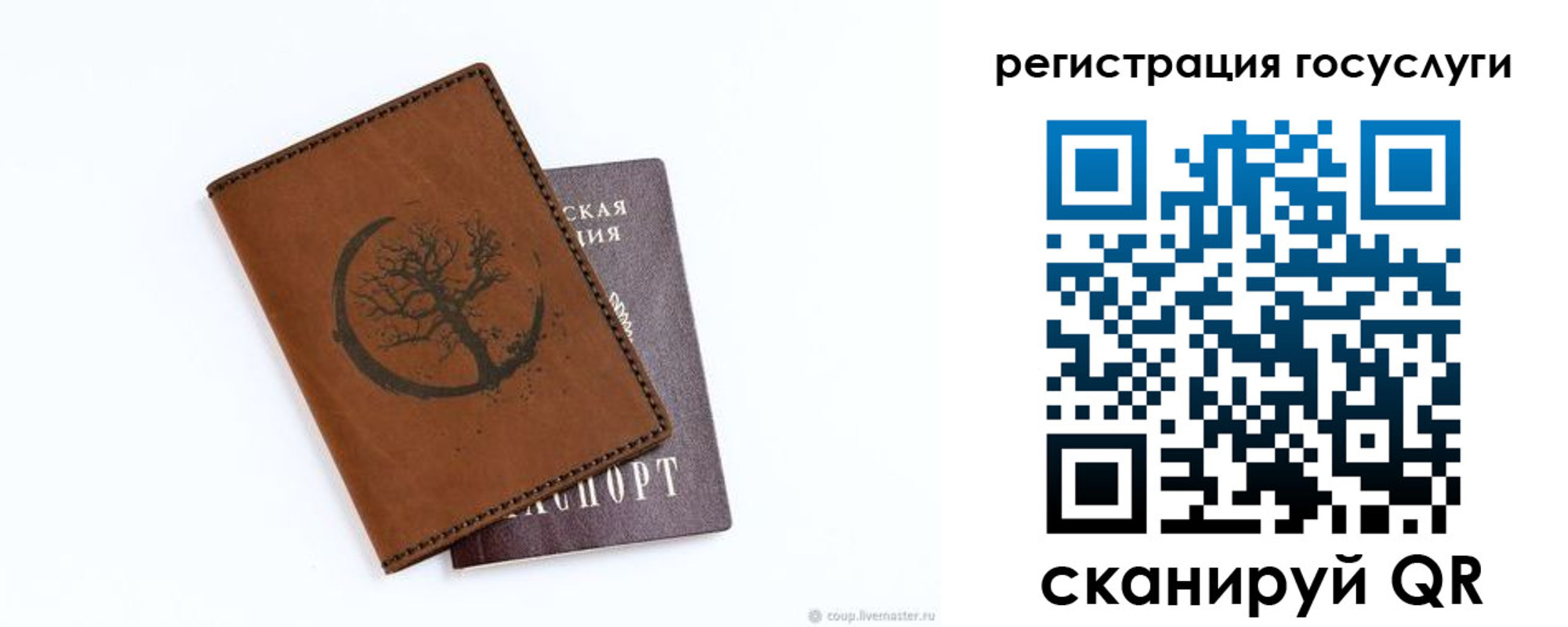 прописка для школы в Вольске
